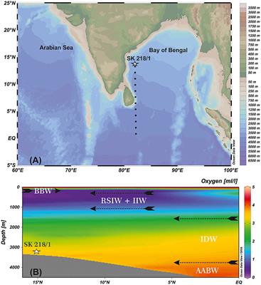 Benthic Foraminiferal Response to the Millennial-Scale Variations in Monsoon-Driven Productivity and Deep-Water Oxygenation in the Western Bay of Bengal During the Last 45 ka